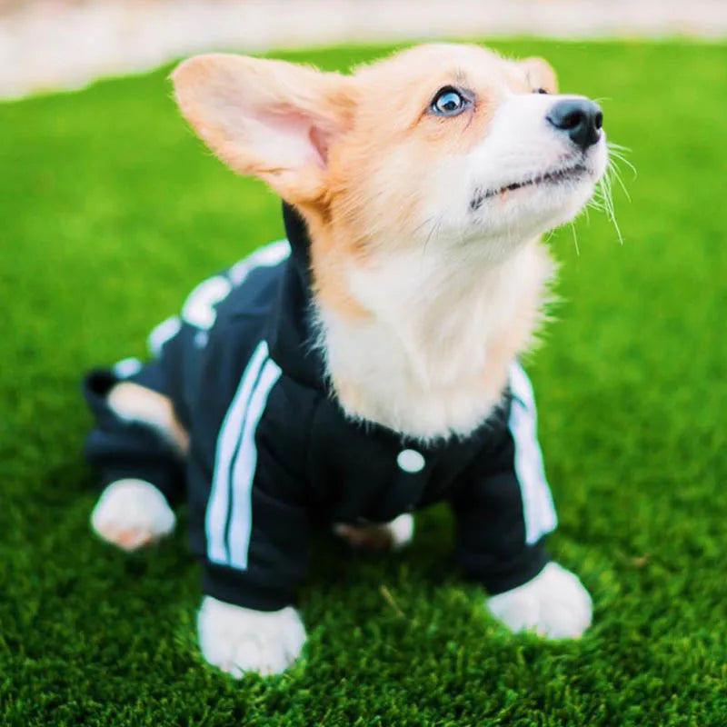 Roupa para animais de estimação roupas para cães pequenos cães médios roupa para cachorro com capuz moletom