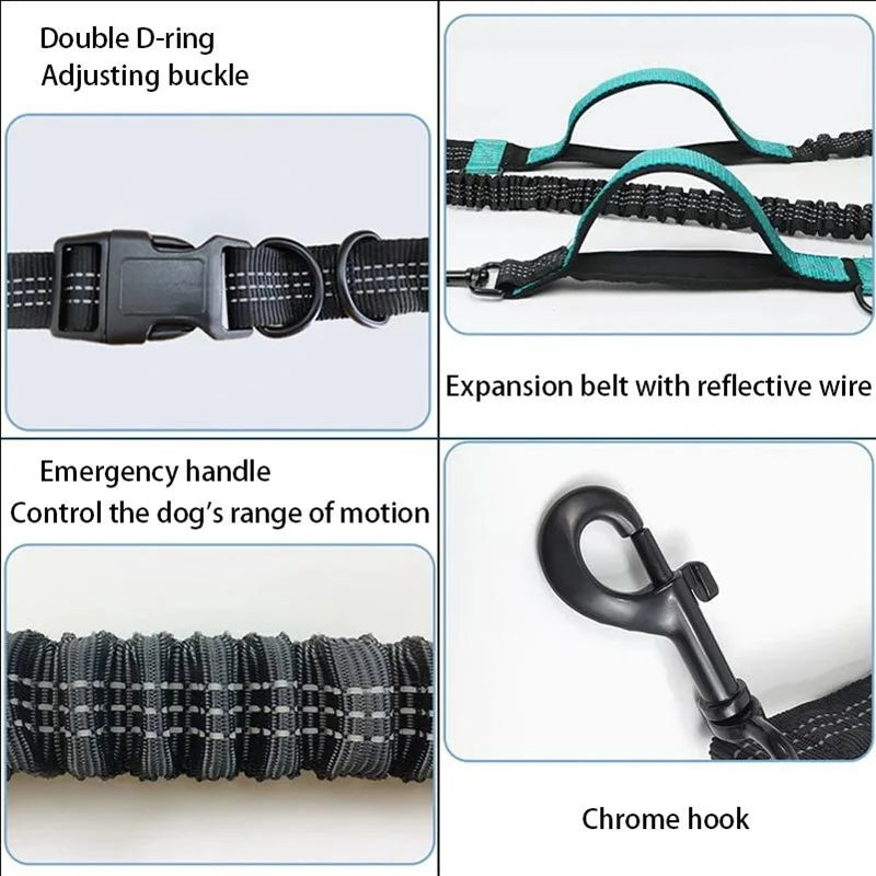 Double Elastic Reflective Running Leash Portable Retractable Dog Leash Dog Chain Leash Pet Supplies Wholesale