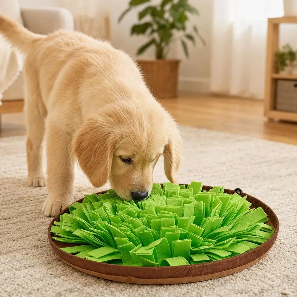 Tapete de busca para cães, jogo interativo de busca de alimentos, brinquedo em forma de tapete para alimentação lenta, ideal para o treino de cães, estimula as habilidades naturais de busca de alimentos.