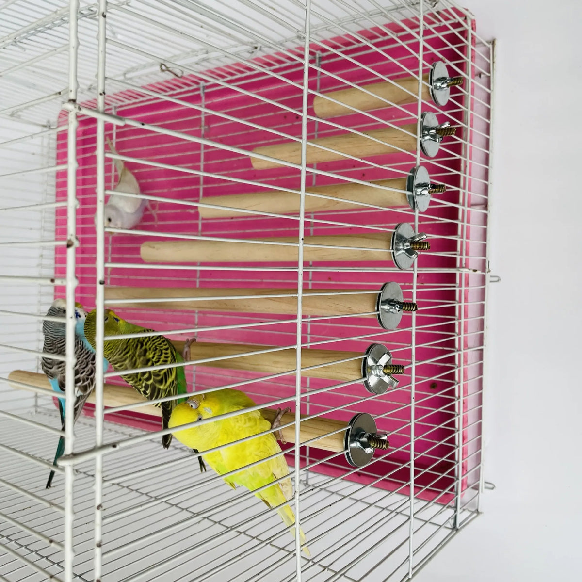 Papagaio animal de estimação cru pé vara de madeira pendurado suporte rack brinquedo sticksstand periquito ramo poleiros para gaiola de pássaros barra suprimentos para animais de estimação