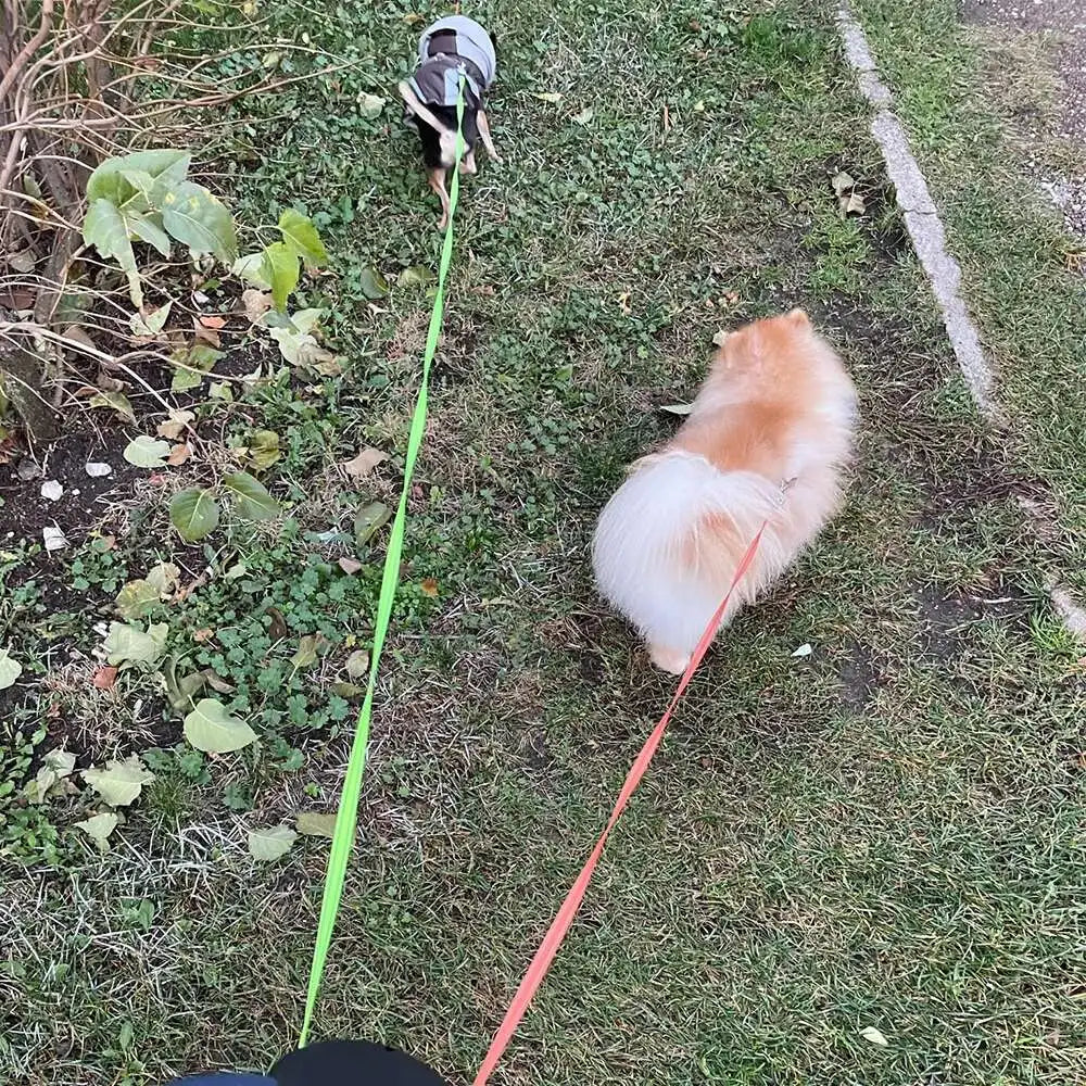 Trela retrátil automática para cães, 3m, com lanterna led, saco de resíduos, roleta, corda de tração dupla de 360 graus, suprimentos para animais de estimação