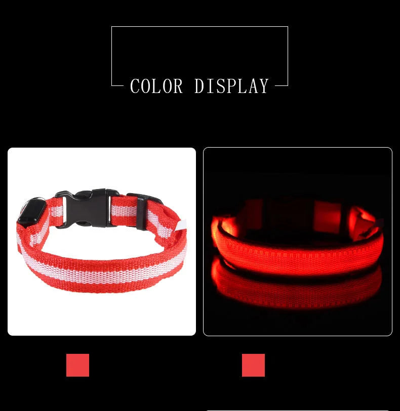 Nylon led noite segurança piscando brilho no escuro trela do cão cães luminoso fluorescente coleira do cão de estimação