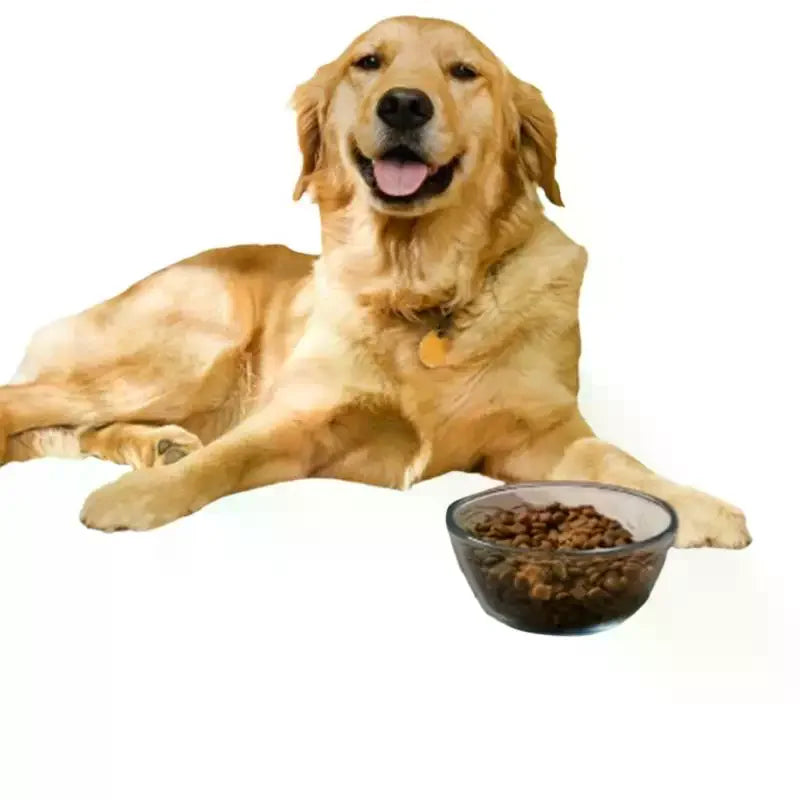 Tapete de alimentação para animais de estimação, absorvente, para comida e tigela de água com suporte de borracha à prova d'água, tapete de água de secagem rápida para cães e gatos
