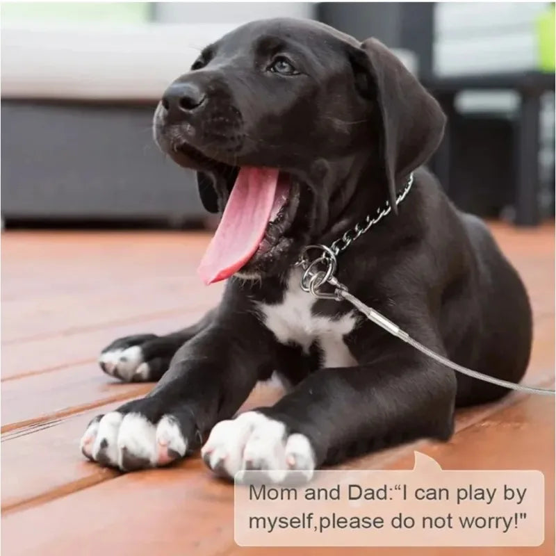 Corda de Amarração Dupla para Cães com Fivela de Metal, Cabo de Aço Antiferrugem, Coleira para Treinamento ao Ar Livre, Alça de Tração Durável