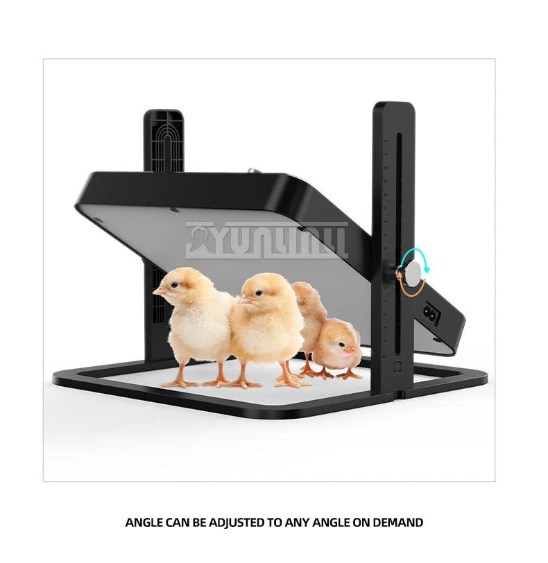 Placa de aquecimento para animais de estimação temperatura ajustável aquecedor para animais de estimação design aquecedor para galinhas cães gatos pássaros 2025 novo