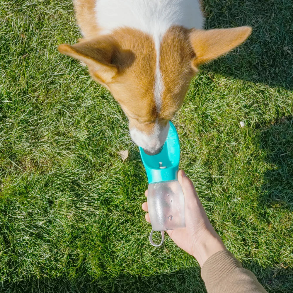 Garrafa de água para cães de estimação, 300ml, tigelas para beber cachorros, para cães pequenos e médios, caminhadas, alimentador portátil para gatos, suprimentos para golden retriever