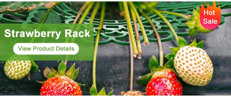 Hada de jardim, suprimentos agrícolas, ferramenta de ervas daninhas, ferramentas de jardinagem, utensílios de mão, herbicida, professor de ervas daninhas, acessórios agrícolas