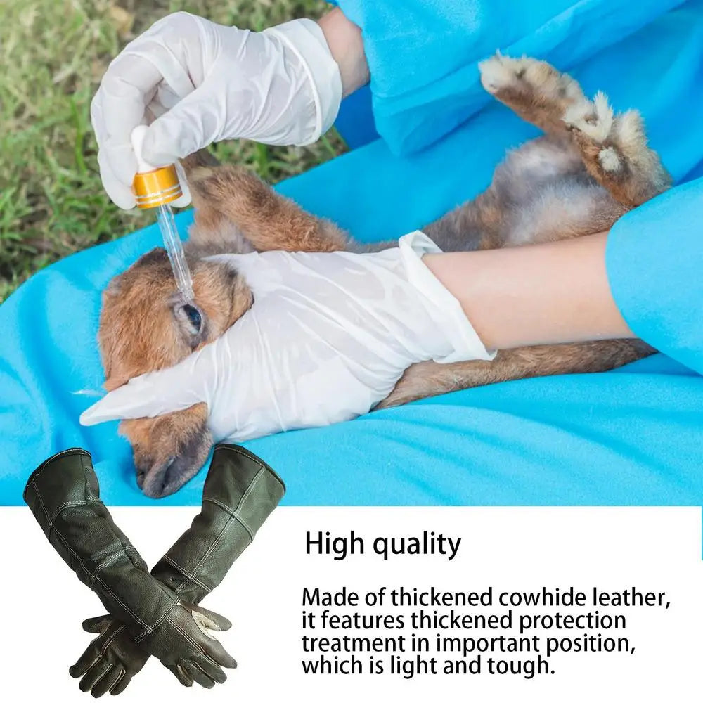 Novas luvas para animais de estimação de couro antigrasping anti mordida luvas protetoras para gato cão jardinagem luvas de trabalho animais de estimação treinamento luvas de alimentação