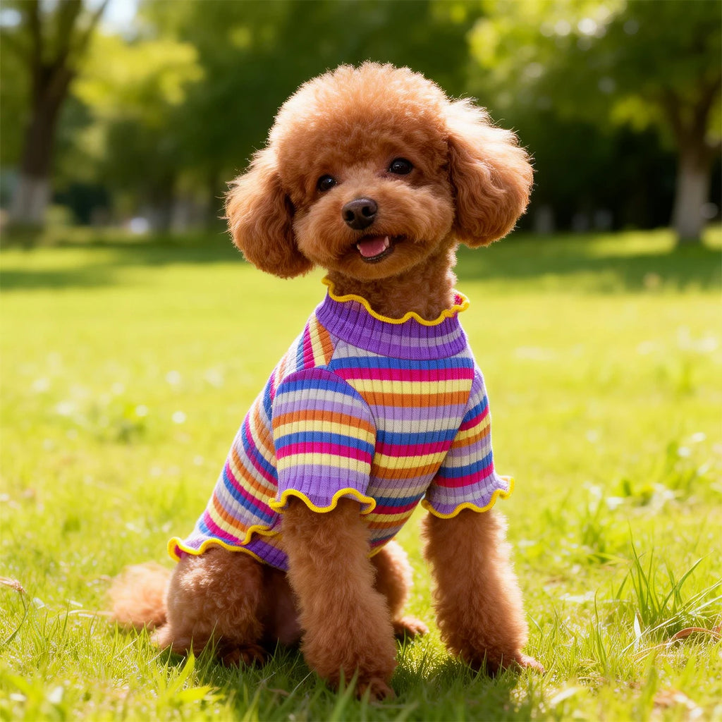 Roupas para Cães e Filhotes: Colete, Camiseta, Camisa, Vestido e Saia Fofos de Primavera, Camiseta de Base e Fantasia para Cães
