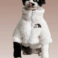 Casaco de Inverno para Cães e Gatos, à Prova de Frio, Roupas para Gatos Sem Pelos, Casaco de Lã de Cordeiro Tricolor Quente e Grosso para Gatos Sphynx e Devon