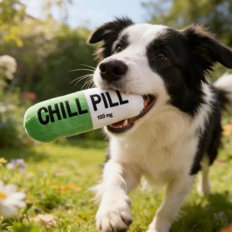 Brinquedo de Pelúcia para Cães em Forma de Cápsula com Apito, Brinquedo Durável e Resistente a Mordidas para Filhotes, Acessório Seguro para Limpeza dos Dentes de Cães e Animais de Estimação