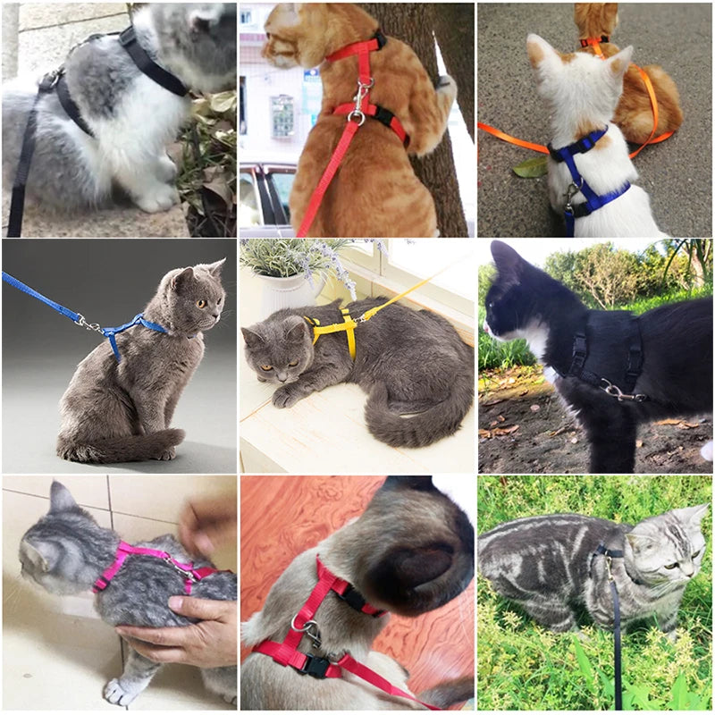 Coleira ajustável para gatos, coleira aconchegante de nylon para coelho, gatinhos, conjunto de coleira para cães e gatos, produtos para animais de estimação