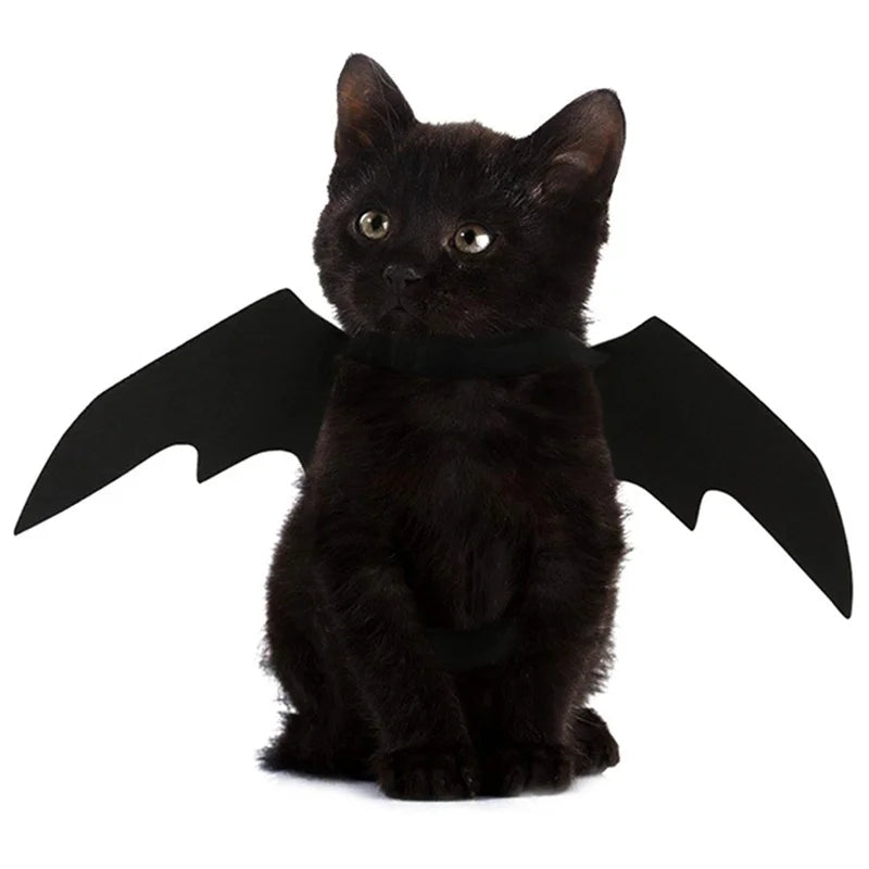 Halloween bonito roupas para animais de estimação preto morcego asas arnês traje cosplay gato cão festa de halloween para suprimentos para animais de estimação